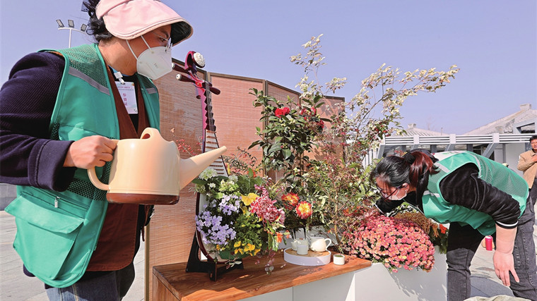 2.5平方米空間里創作秋景 蘇州首次舉辦容器花園營造技能競賽